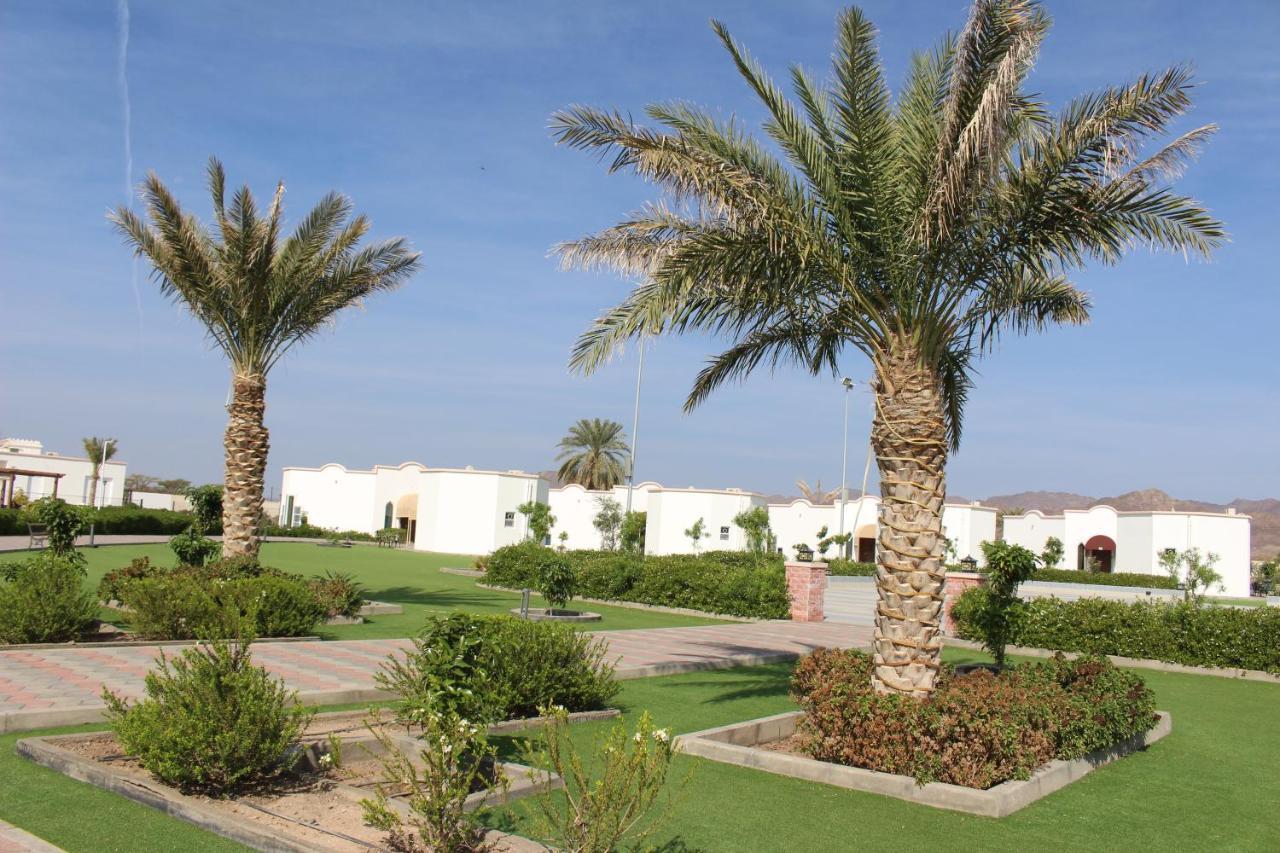 Saj Farm Inn Ibrā Dış mekan fotoğraf